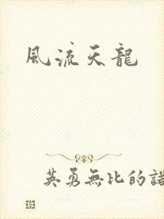 风流天龙