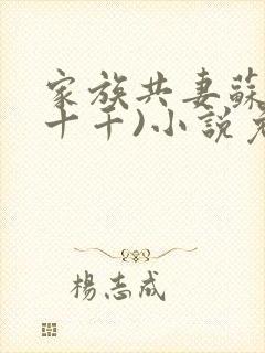 家族共妻苏苏(十千)小说免费