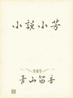 小说小芳