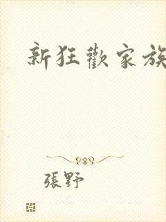 新狂欢家族小说