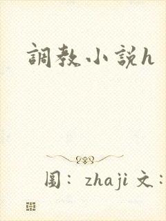调教小说h封面