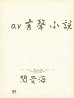 av有声小说