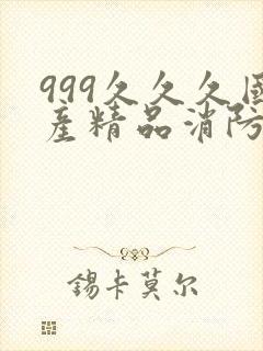 999久久久国产精品消防器材封面