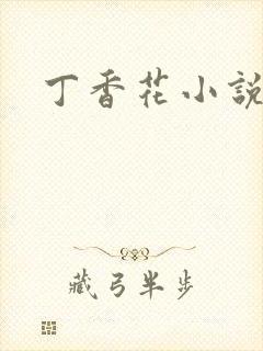 丁香花小说