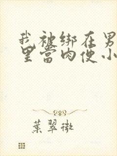 我被绑在男公厕里当肉便小说