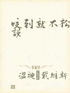 咬到就不松口小说