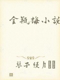 金瓶梅小说