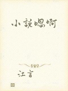 小说嗯啊