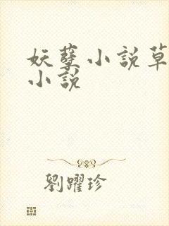 妖孽小说草莓酱小说