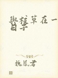 与校草在一起的日子