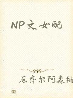 NP文女配