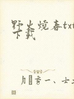 野火烧春txt下载
