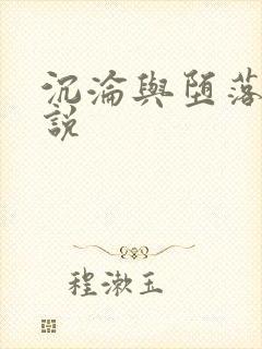 沉沦与堕落的小说