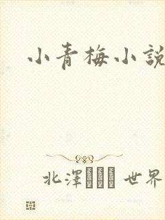 小青梅小说