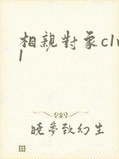 相亲对象c1v1