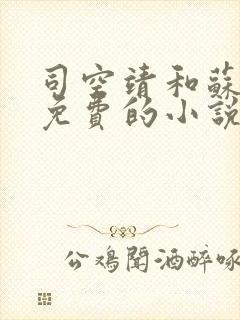 司空靖和苏月汐免费的小说笔趣阁