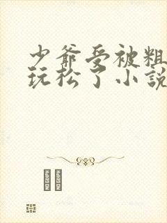 少爷受被粗汉H玩松了小说