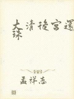 大清后宫还君明珠