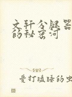 文轩分腿器河马的秘密河