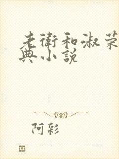 老卫和淑荣的经典小说