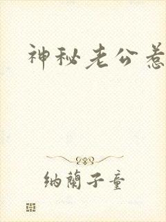 神秘老公惹不起