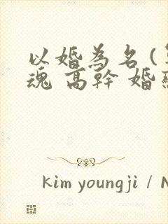 以婚为名 (军魂 高干 婚恋)