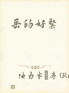 《岳的好紧》小说封面