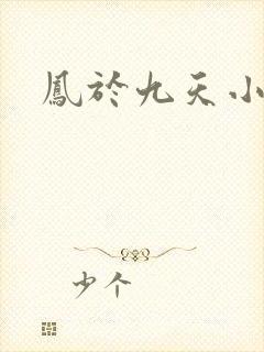 凤于九天小说