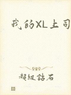 我的XL上司封面