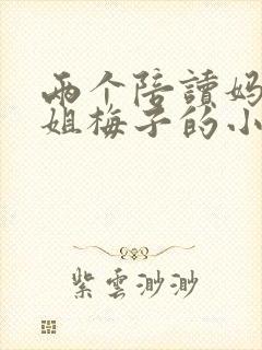 两个陪读妈妈赵姐梅子的小说