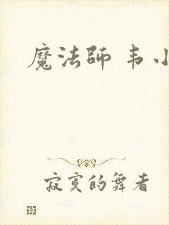 魔法师 韦小宝