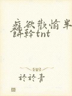 瘾欲欢愉半块小饼干tnt