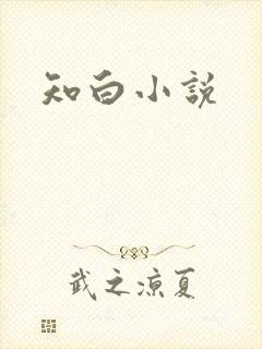 知白小说