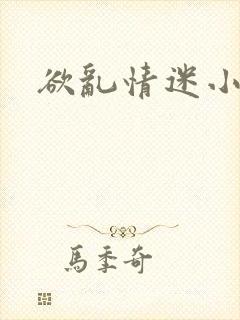 欲乱情迷小说封面