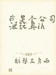 我是全公司的发泄玩具ih