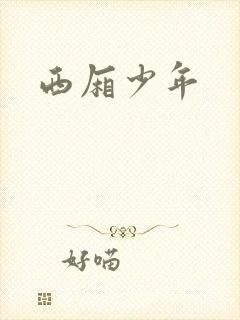西厢少年