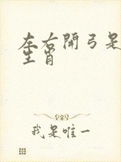 左右开弓是什么生肖