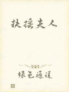 扶摇夫人封面
