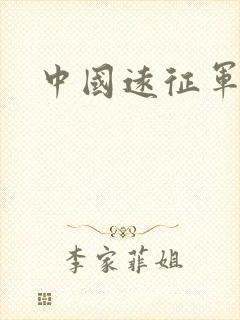 中国远征军小说