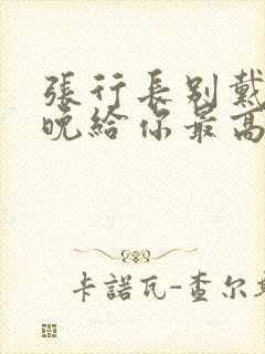 张行长别戴了今晚给你最高的待遇