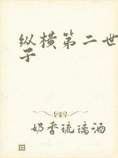 纵横第二世界宽子