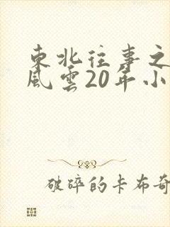 东北往事之黑道风云20年小说