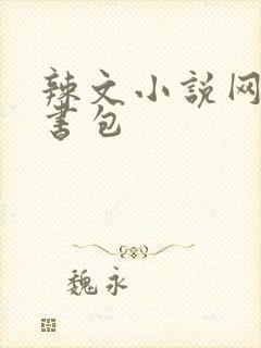 辣文小说网第二书包