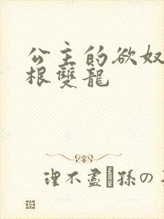 公主的欲奴h四根双龙