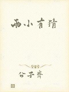 《两小有猜》小说封面