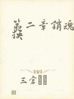 第二章销魂的交换