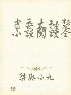 省委大秘楚东恒小说阅读全文