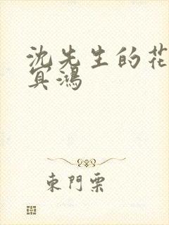 沈先生的花式调冥鸿