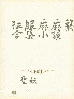 征服麻麻系列大合集小说