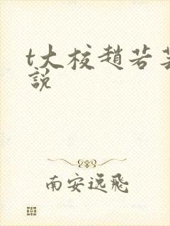 t大校赵若芸小说